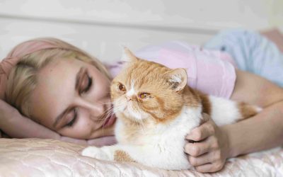 A szorongás mesterei vagyunk, avagy amikor a szorongás a komfortzóna, és a macska 😊  